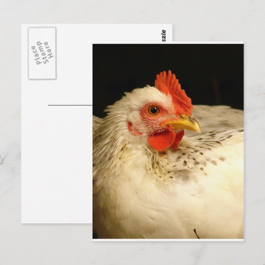 Mijn jongen briefkaart (Voorkant / Achterkant)