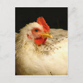 Mijn jongen briefkaart (Voorkant)