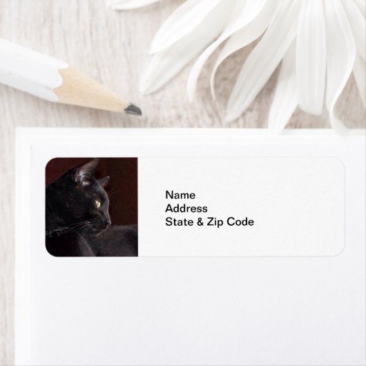 Mijn jongen, Charlie Return Address Labels (Insitu)