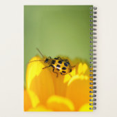 Mijn journaal Planner (Achterkant)