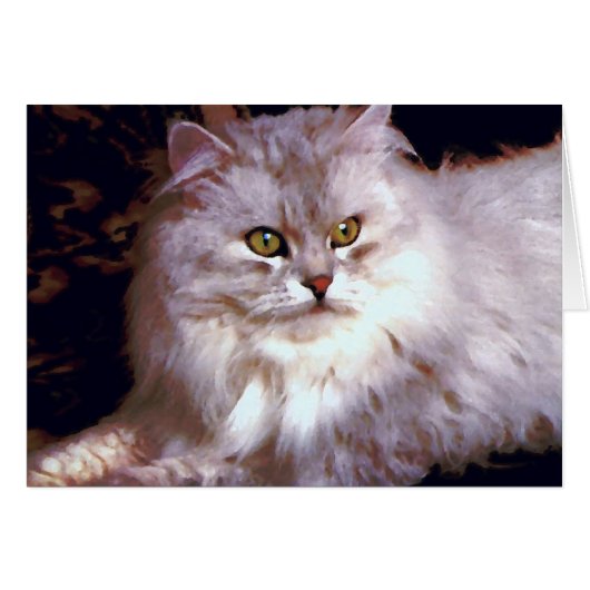 Mijn kat (Voorkant Horizontaal)