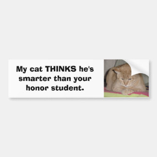 Mijn kat DENKT dat hij slimmer is dan edelachtbare Bumpersticker