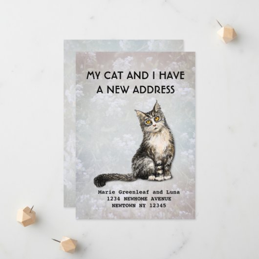 Mijn kat en ik hebben de aankondiging verplaatst (Voorkant / Achterkant in situ)