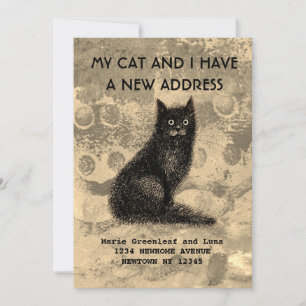 Mijn kat en ik hebben de aankondiging verplaatst