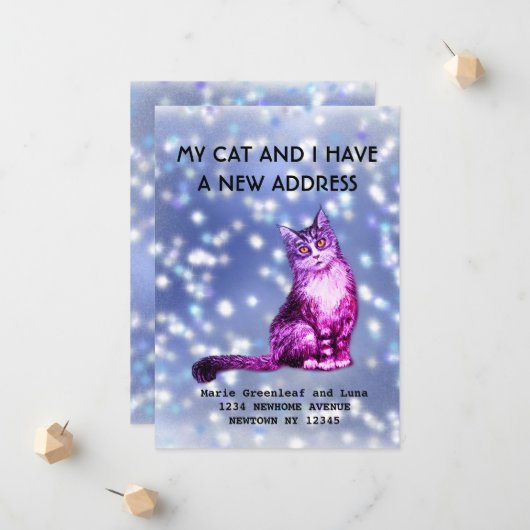 Mijn kat en ik hebben een mededeling aankondiging (Voorkant / Achterkant in situ)