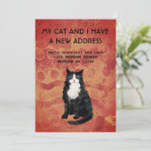 Mijn kat en ik hebben een mededeling aankondiging (Staand voorkant)