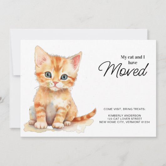 Mijn kat en ik hebben Oranje kitten verplaatst Aankondiging (Voorkant)
