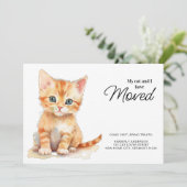 Mijn kat en ik hebben Oranje kitten verplaatst Aankondiging (Staand voorkant)