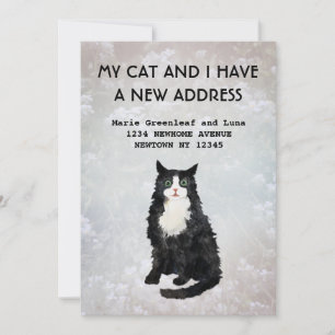 Mijn kat en ik zijn verhuisd Aankondiging