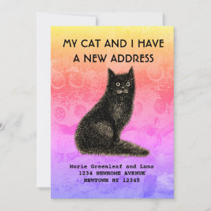 Mijn kat en ik zijn verhuisd Aankondiging