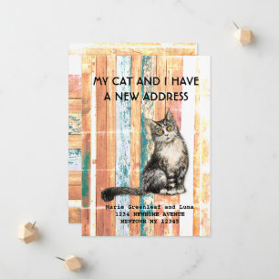 Mijn kat en ik zijn verhuisd Aankondiging