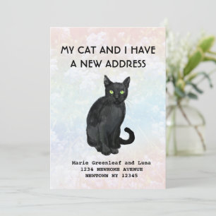 Mijn kat en ik zijn verhuisd Aankondiging