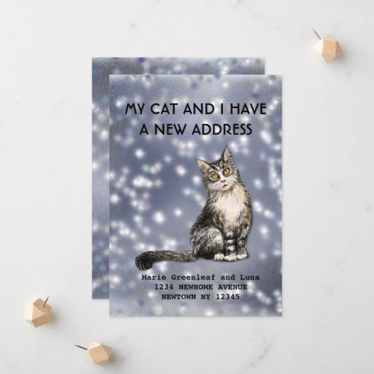 Mijn kat en ik zijn verhuisd Aankondiging (Voorkant / Achterkant in situ)