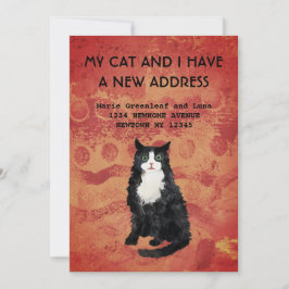 Mijn kat en ik zijn verhuisd Aankondiging