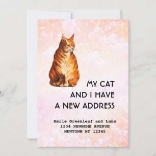 Mijn kat en ik zijn verhuisd Aankondiging