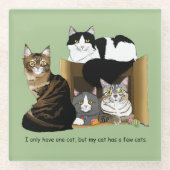 Mijn kat heeft katten glazen onderzetter (Voorkant)