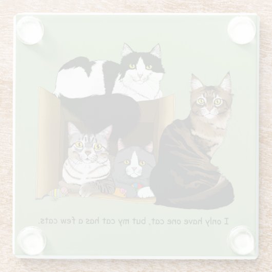 Mijn kat heeft katten glazen onderzetter (Achterkant)