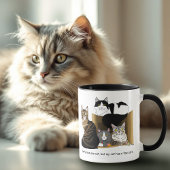 Mijn kat heeft katten mok
