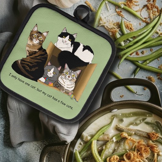 Mijn kat heeft katten pannenlap