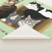 Mijn kat heeft katten sherpa deken (3/4)