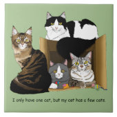 Mijn kat heeft katten tegeltje (Voorkant)