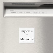 Mijn kat is een Methodist Magneet (Insitu (Vaatwasser))