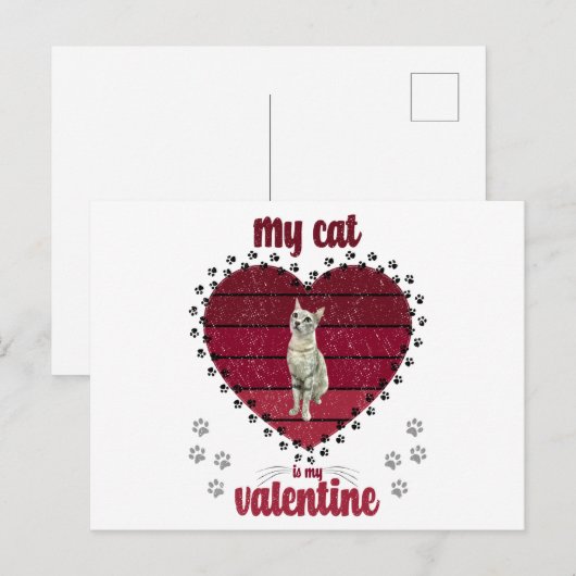 Mijn kat is mijn Valentijn Briefkaart (Voorkant / Achterkant)