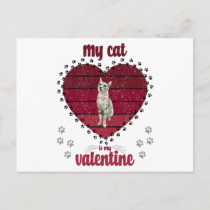 Mijn kat is mijn Valentijn Briefkaart