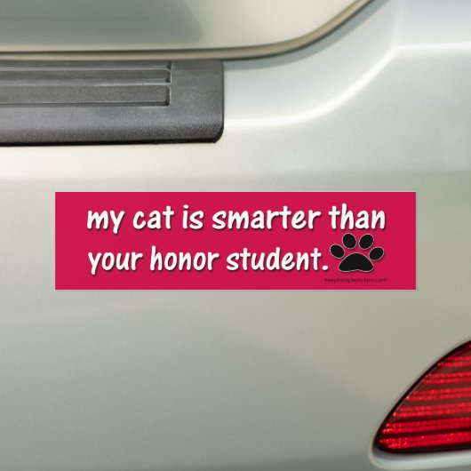 Mijn kat is slimmer dan.... bumpersticker (Op auto)
