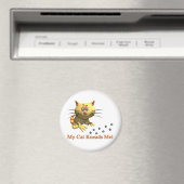 Mijn kat kneedt me magneet (Insitu (Vaatwasser))