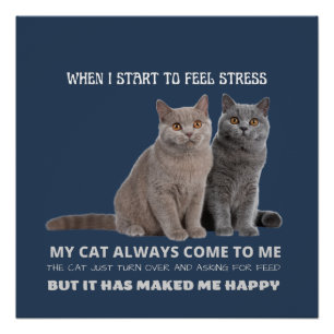 mijn kat maakt me altijd gelukkig poster