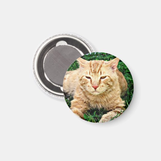 Mijn kat Rudy Magnet (Voorkant / Achterkant)