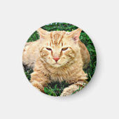 Mijn kat Rudy Magnet (Voorkant)