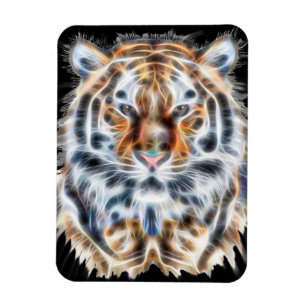 Mijn kat werkt meer tijgergezichtsenergie op magneet