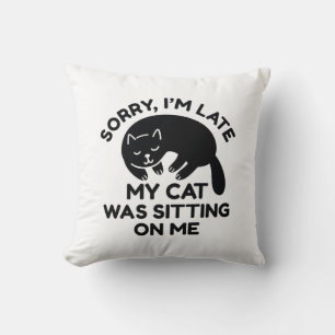 Mijn kat zat op mij. kussen