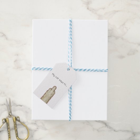 Mijn kat zegt hallo... cadeaulabel (Met Touw)