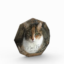 Mijn katfoto Memorial