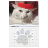 Mijn katten kalender (Jan 2027)
