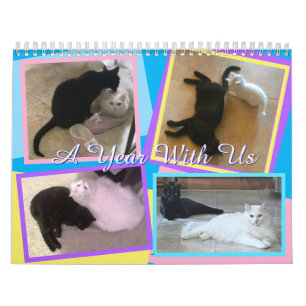 Mijn katten kalender