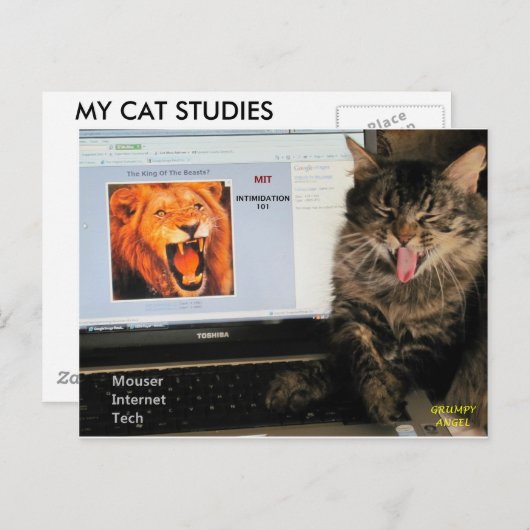 Mijn kattenstudies op MIT Mouser Internet Tech Briefkaart (Voorkant / Achterkant)