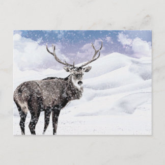 Mijn Kerst Winter Stag! Feestdagenkaart