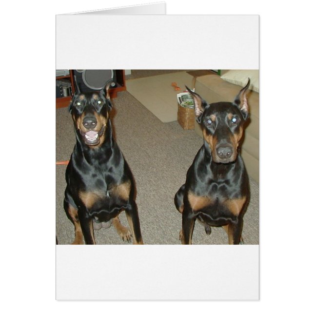 Mijn kinderen (Voorkant)