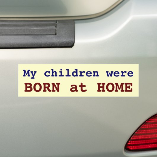 Mijn kinderen waren thuis op de vlucht. bumpersticker (Op auto)