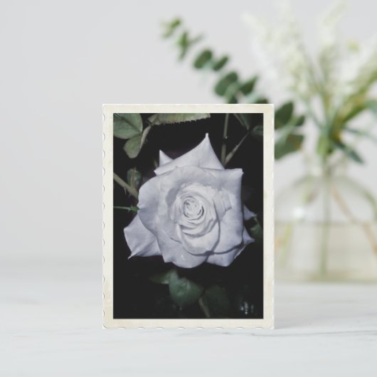 Mijn kleine blauwe prinses briefkaart (Staand voorkant)