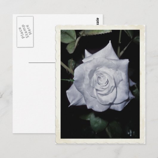 Mijn kleine blauwe prinses briefkaart (Voorkant / Achterkant)