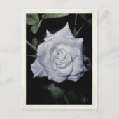 Mijn kleine blauwe prinses briefkaart (Voorkant)