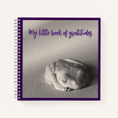 Mijn kleine boek van dankbaarheid. (Voorkant)