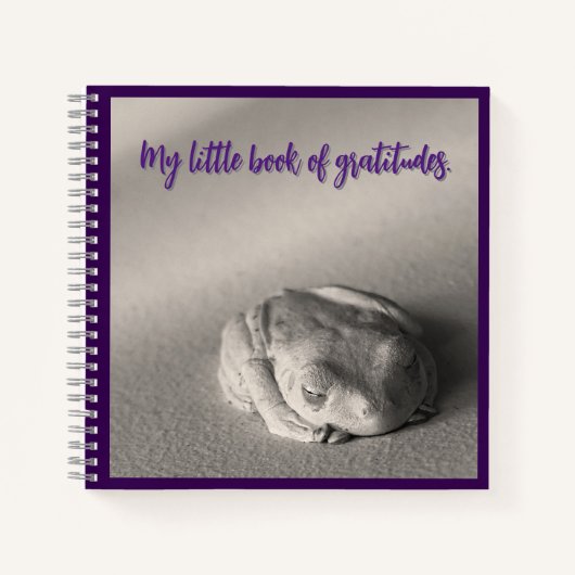 Mijn kleine boek van dankbaarheid. (Voorkant)