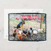 Mijn kleine Briefkaart van de Kippen (Voorkant / Achterkant)