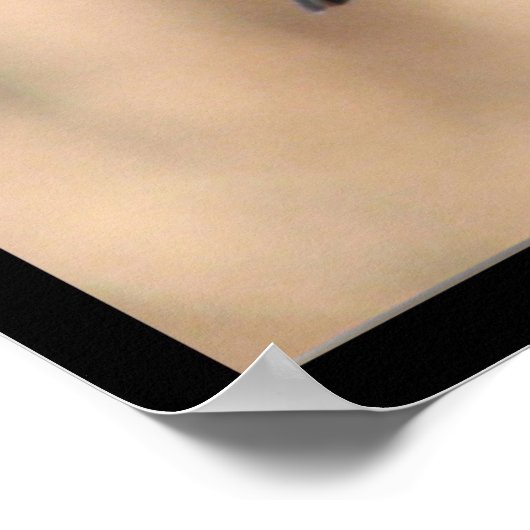 Mijn kleine cichorei poster (Hoek)